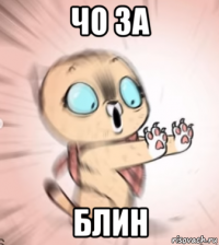 чо за блин