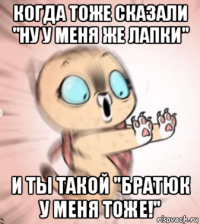 когда тоже сказали "ну у меня же лапки" и ты такой "братюк у меня тоже!"