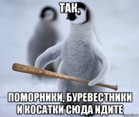 так, поморники, буревестники и косатки сюда идите