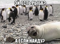 эй, есть рыба? а если найду?