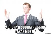  у слона в зоопарке была такая морда