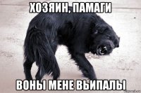 хозяин, памаги воны мене вьипалы