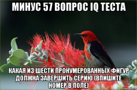 минус 57 вопрос iq теста какая из шести пронумерованных фигур должна завершить серию (впишите номер в поле)