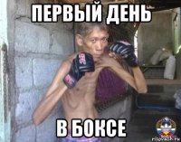 первый день в боксе