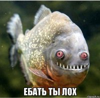  ебать ты лох