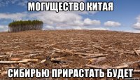 могущество китая сибирью прирастать будет