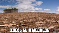  здесь был медведь