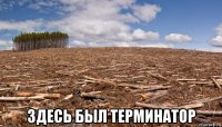  здесь был терминатор