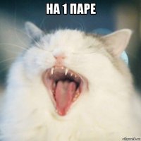 на 1 паре 