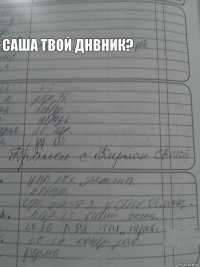  саша твой днвник?