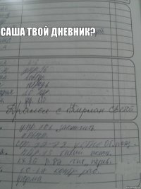  саша твой дневник?