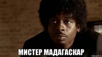  мистер мадагаскар