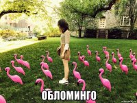  обломинго