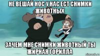 не вешай нос у нас ест снимки животных зачем мне снимки животный ты жирная горилла