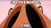смотри в мой нос, сука!
