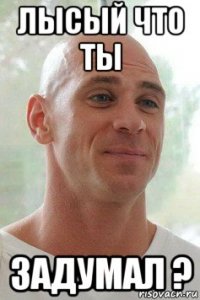 лысый что ты задумал ?