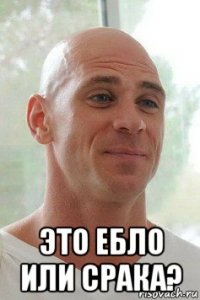  это ебло или срака?