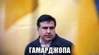  гамарджопа