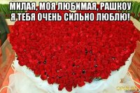 милая, моя любимая, рашкоу я тебя очень сильно люблю! 