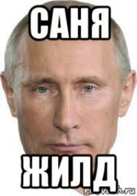 саня жилд