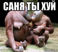 саня ты хуй 