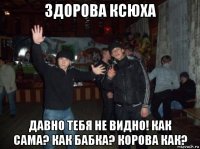 здорова ксюха давно тебя не видно! как сама? как бабка? корова как?