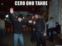 село оно такое 