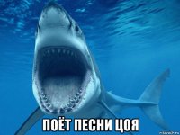  поёт песни цоя