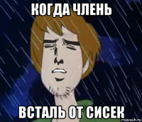 когда члень всталь от сисек