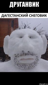 друганвик 
