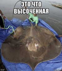 это что высоченная 