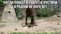когда пошёл в туалет в кустики, а рядом не кого нет 