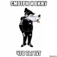 смотрю и вижу что ты тут