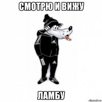 смотрю и вижу ламбу
