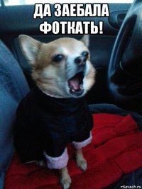 да заебала фоткать! 