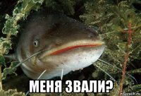  меня звали?