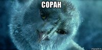 соран 