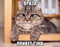 враза привет сука
