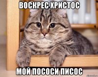 воскрес христос мой пососи писос