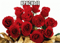 красные 