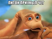 питон приуныл чет 