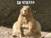 за что??? 
