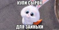 купи сырок для заиньки