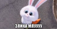  зяйка мяуууу