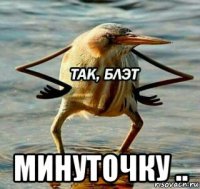 минуточку ..