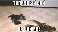 типичный бой на олимпе
