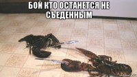 бой кто останется не съеденным 