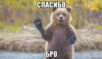 спасибо бро