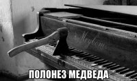  полонез медведа