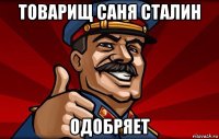 товарищ саня сталин одобряет